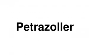 Logo PETRAZOLLER DOMINIQUE