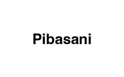 Logo Pibasani