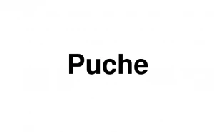 Logo Puche