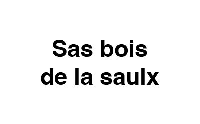 Logo sas bois de la saulx