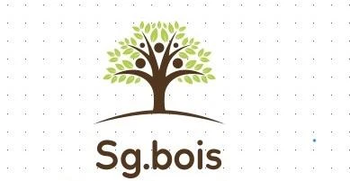 Logo Sg Bois