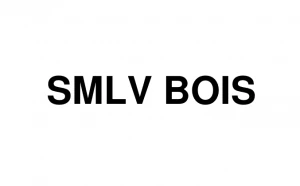Logo Smlv Bois