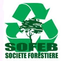 Logo Sofeb - Bois de Chauffage