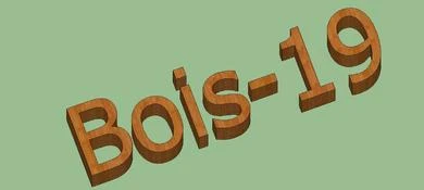 Logo Soib