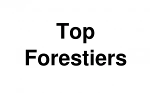 Logo Top Forestier
