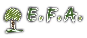 Sas Efa